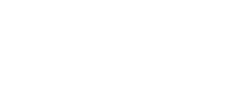 Mint Project